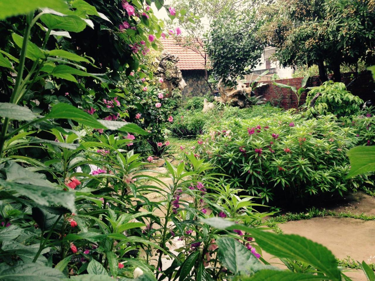 Mr. Viet Home Stay Ninh Binh Esterno foto
