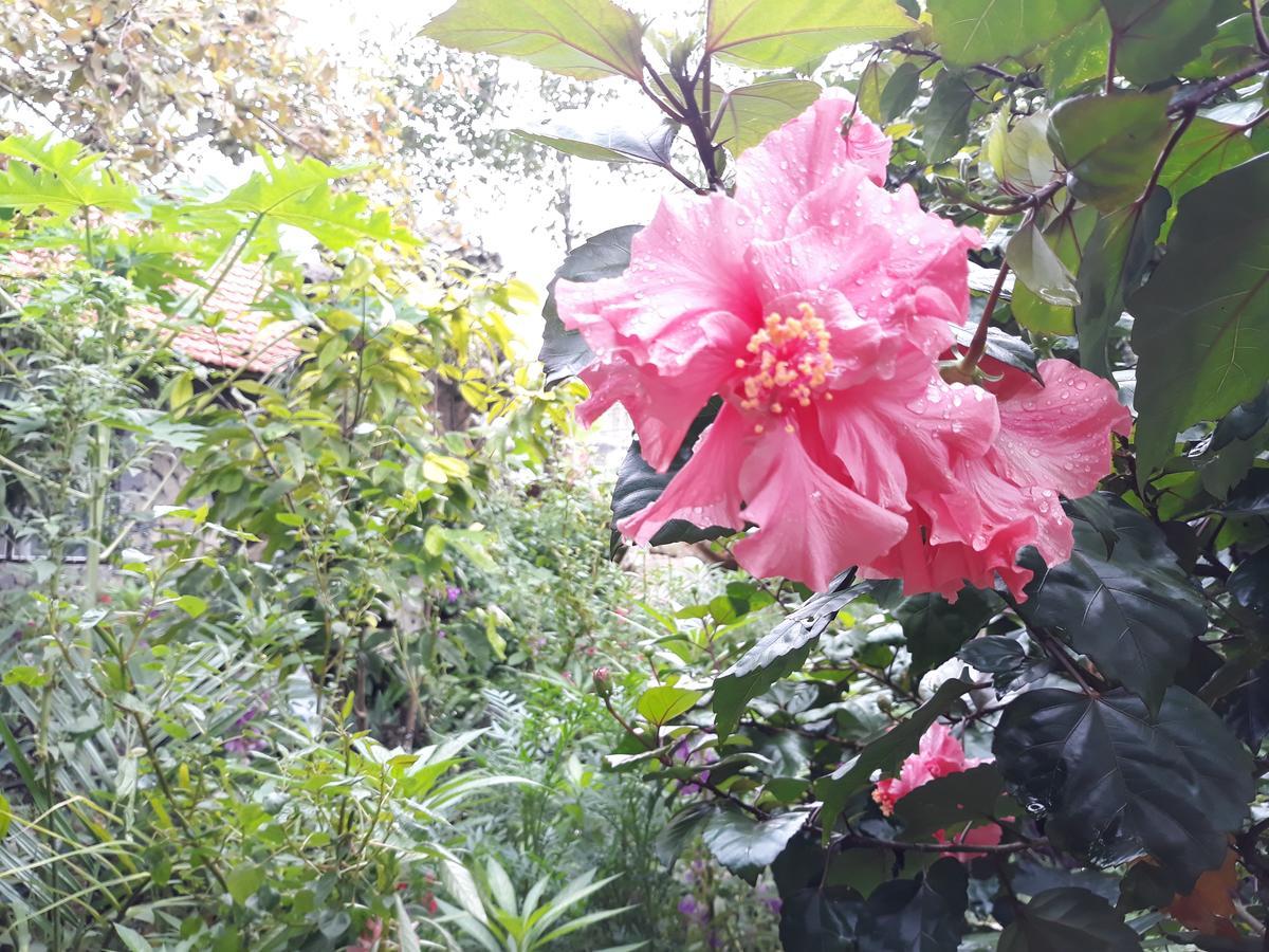 Mr. Viet Home Stay Ninh Binh Esterno foto