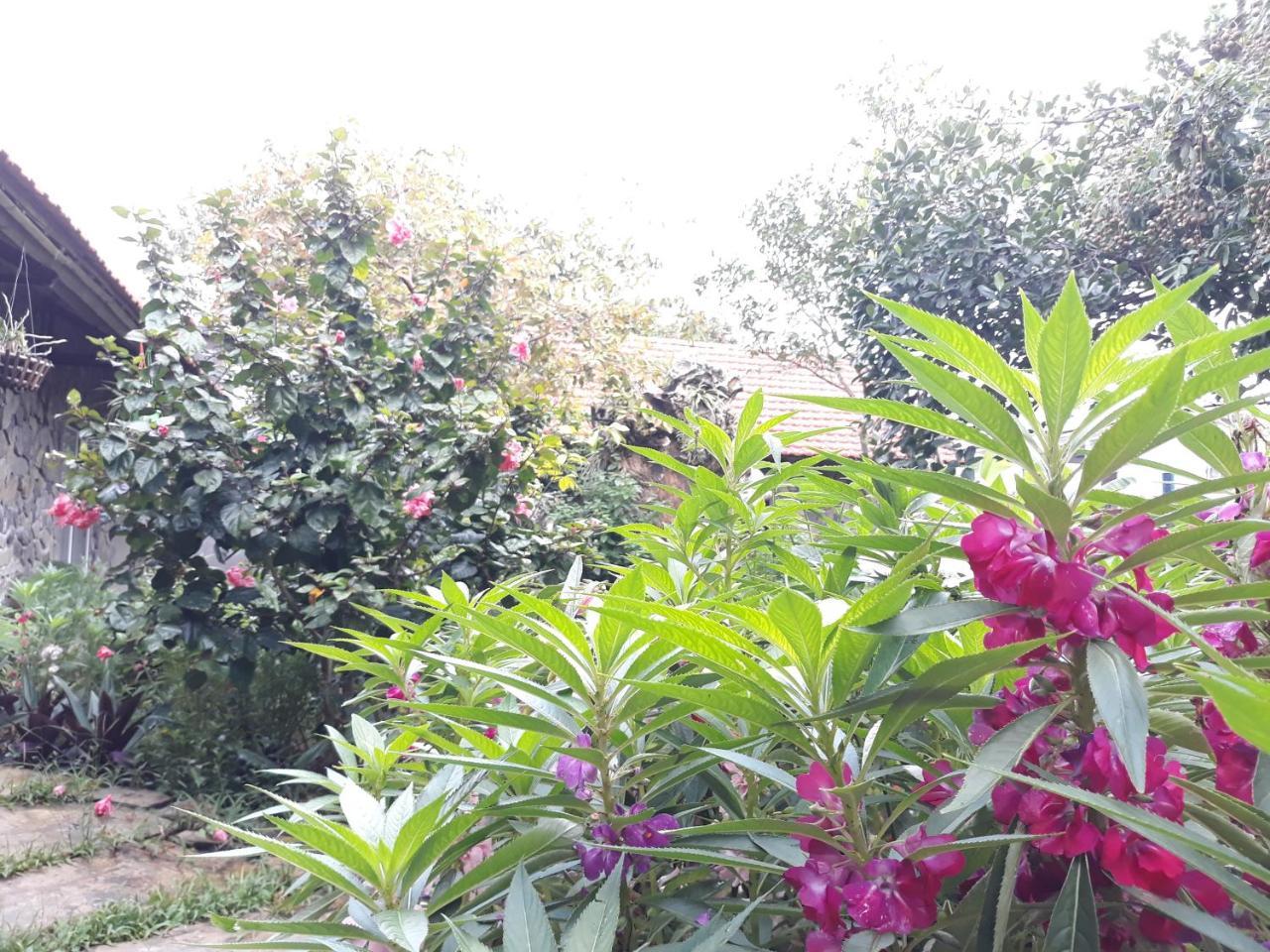 Mr. Viet Home Stay Ninh Binh Esterno foto