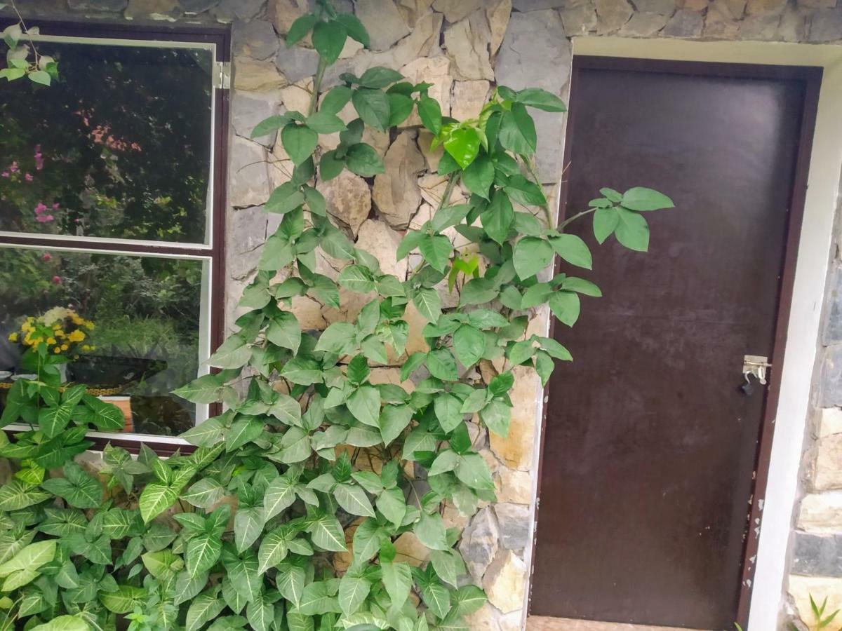Mr. Viet Home Stay Ninh Binh Esterno foto